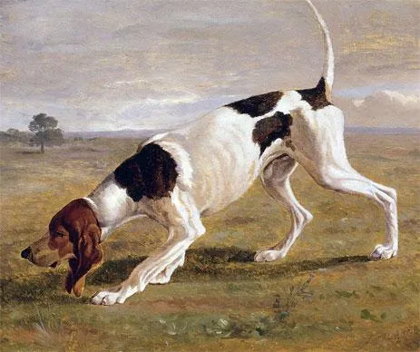 A Pointer In Landscape